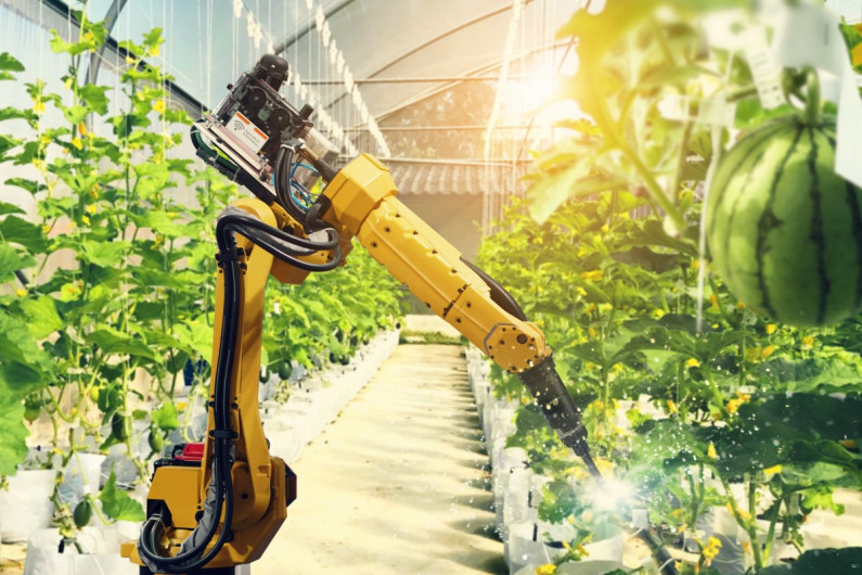 An robotic machine working in a glasshouse