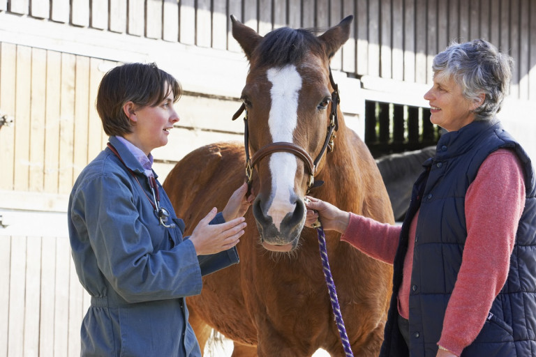 A vet and a trainee stand beside a horse and talk about the horse.
