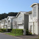 row of suburban auckland houses