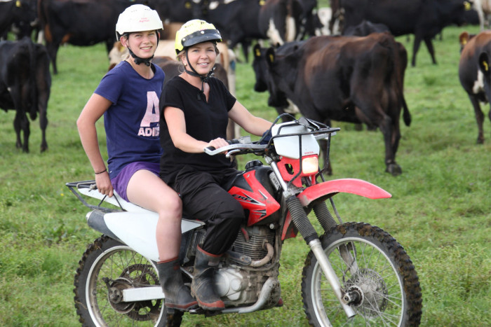 Two dairy farm assistants ride a motorbike past a herd of cows