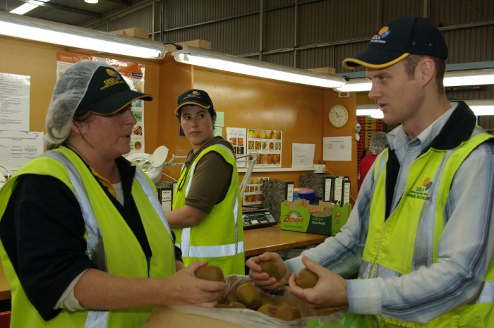 Robert Humphries discusses the quality of kiwifruit with a colleague